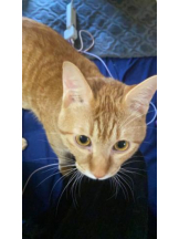 ViVian - かのの女の子ブログ画像