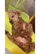 ViVian - かのの女の子ブログ画像