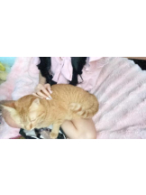 ViVian - かのの女の子ブログ画像