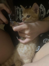 ViVian - かのの女の子ブログ画像