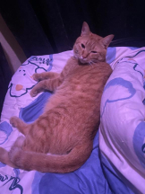 ViVian - かのの女の子ブログ画像