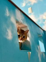 ViVian - かのの女の子ブログ画像