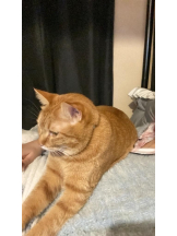 ViVian - かのの女の子ブログ画像