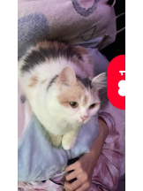 ViVian - かのの女の子ブログ画像