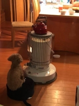 ViVian - かのの女の子ブログ画像