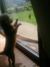 ViVian - かのの女の子ブログ画像