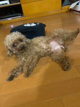 ViVian - かのの女の子ブログ画像