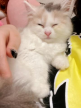 ViVian - かのの女の子ブログ画像