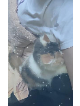 ViVian - かのの女の子ブログ画像