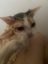 ViVian - かのの女の子ブログ画像