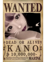 ViVian - かのの女の子ブログ画像