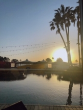 月紅 - りんごの女の子ブログ画像