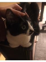 月紅 - えりなの女の子ブログ画像