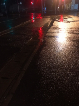 月紅 - えりなの女の子ブログ画像