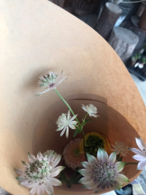 月紅 - えりなの女の子ブログ画像