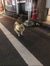 月紅 - えりなの女の子ブログ画像