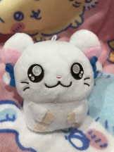 月紅 - えりなの女の子ブログ画像