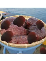 月紅 - えりなの女の子ブログ画像