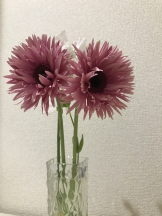 月紅 - えりなの女の子ブログ画像