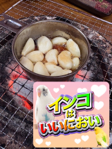 月紅 - えりなの女の子ブログ画像