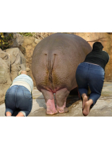 月紅 - えりなの女の子ブログ画像