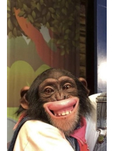 月紅 - えりなの女の子ブログ画像