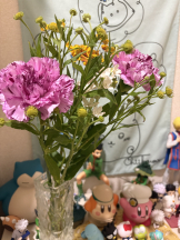 月紅 - えりなの女の子ブログ画像