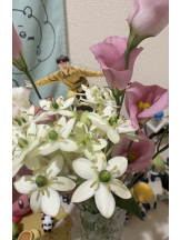 月紅 - えりなの女の子ブログ画像