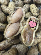 月紅 - えりなの女の子ブログ画像