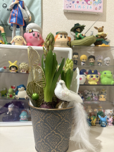 月紅 - えりなの女の子ブログ画像