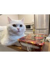 月紅 - えりなの女の子ブログ画像