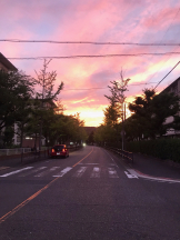 月紅 - えりなの女の子ブログ画像