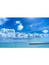 月紅 - えりなの女の子ブログ画像