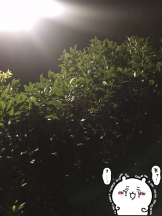 月紅 - えりなの女の子ブログ画像