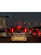 月紅 - えりなの女の子ブログ画像