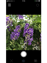 月紅 - えりなの女の子ブログ画像