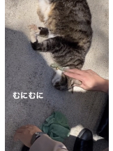 月紅 - えりなの女の子ブログ画像