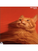 月紅 - えりなの女の子ブログ画像