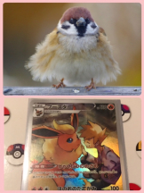 月紅 - えりなの女の子ブログ画像