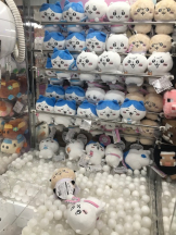 月紅 - えりなの女の子ブログ画像