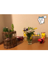 月紅 - えりなの女の子ブログ画像