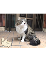 月紅 - えりなの女の子ブログ画像