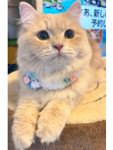 月紅 - えりなの女の子ブログ画像