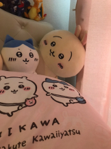 月紅 - えりなの女の子ブログ画像