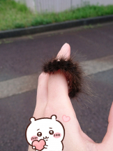 月紅 - えりなの女の子ブログ画像