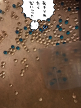 月紅 - えりなの女の子ブログ画像