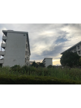 月紅 - えりなの女の子ブログ画像