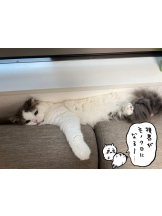 月紅 - えりなの女の子ブログ画像