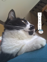 月紅 - えりなの女の子ブログ画像