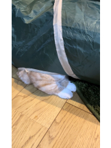 月紅 - えりなの女の子ブログ画像